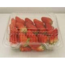 Blister pour fraises ou autres fruits (HL-110)
